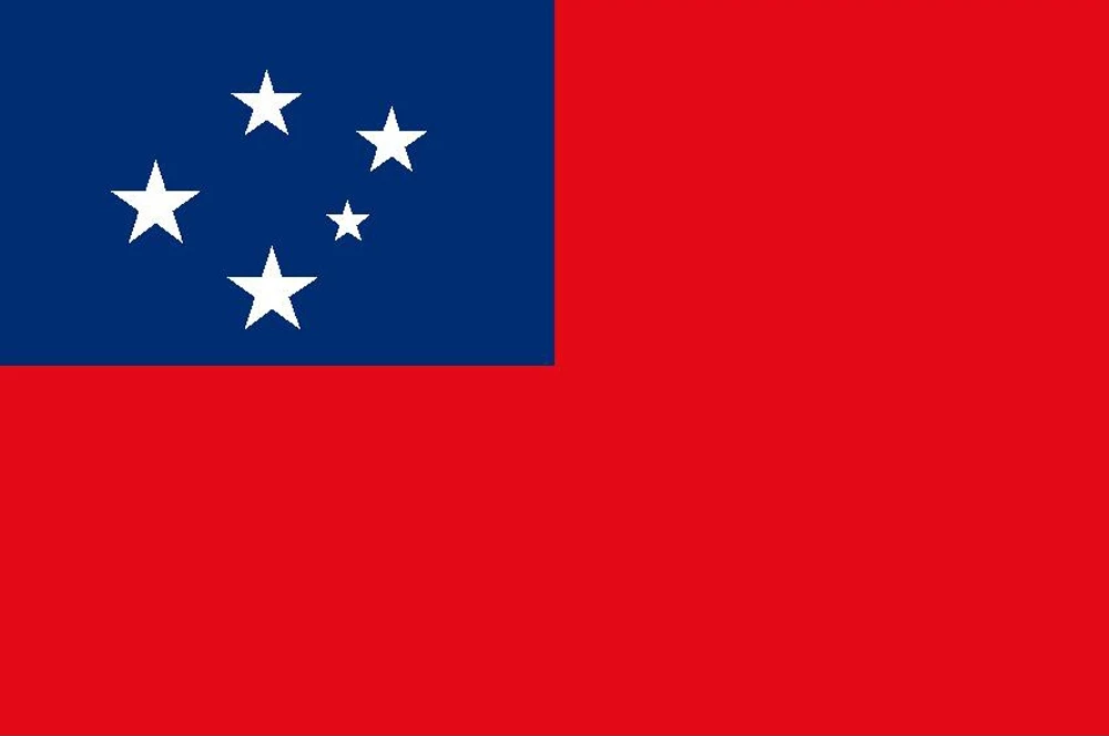 WS flag